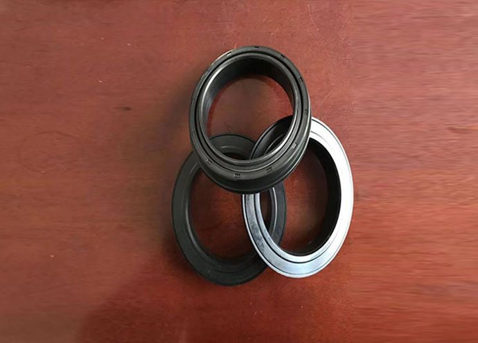 High temperature resistant skeleton oil seal