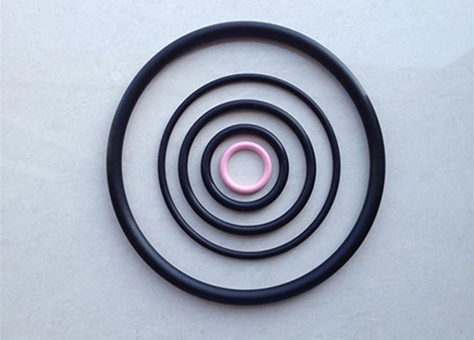 Anti-aging neoprene O-ring